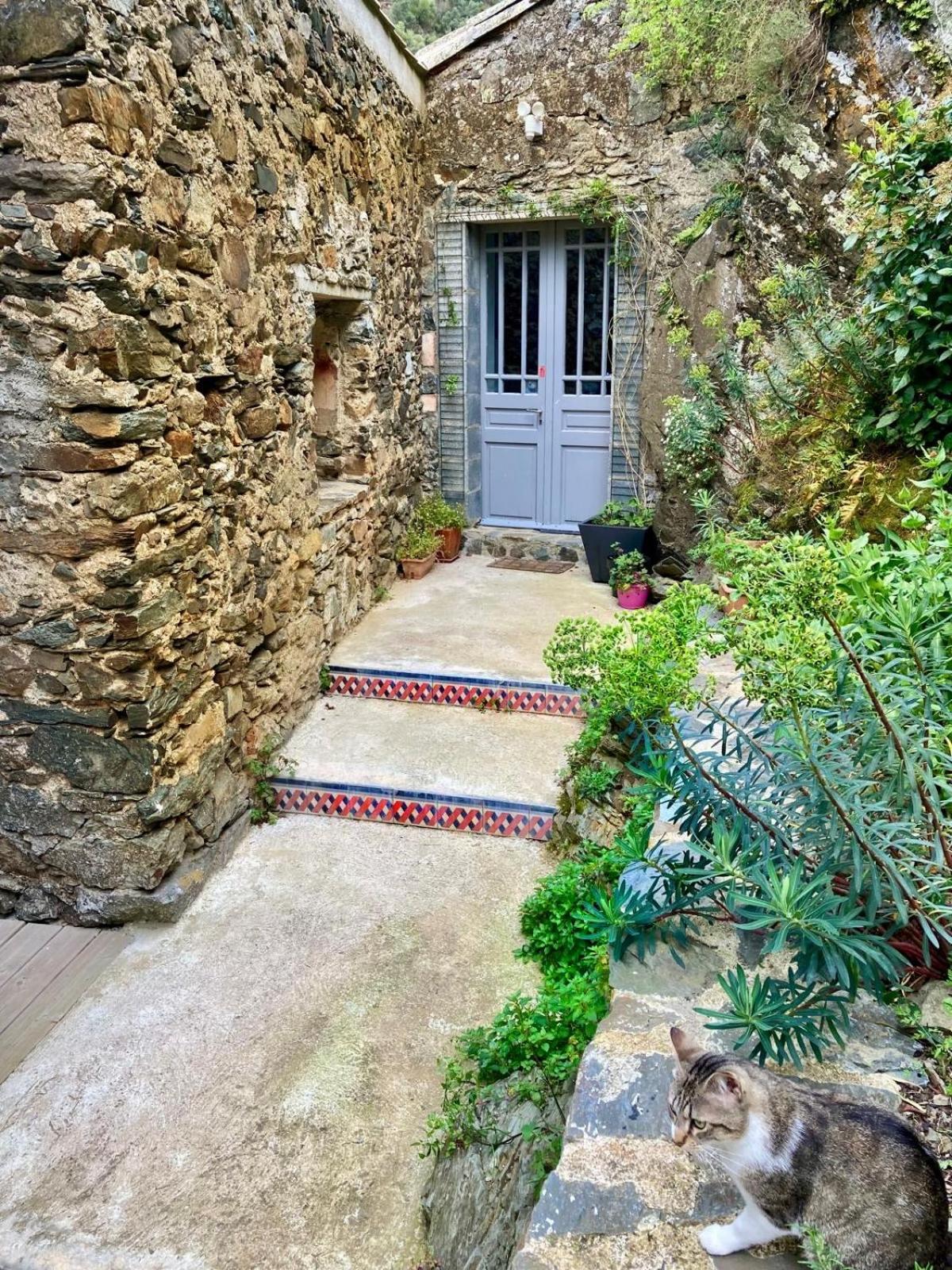 4 Star Cabaret Lastours 4 Chateaux Amazing Cathar Landmark Private Luxury 4 Star Air Conditioned Terrasse With Views Eksteriør billede